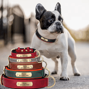 Personalized PU Leather Dog Collar