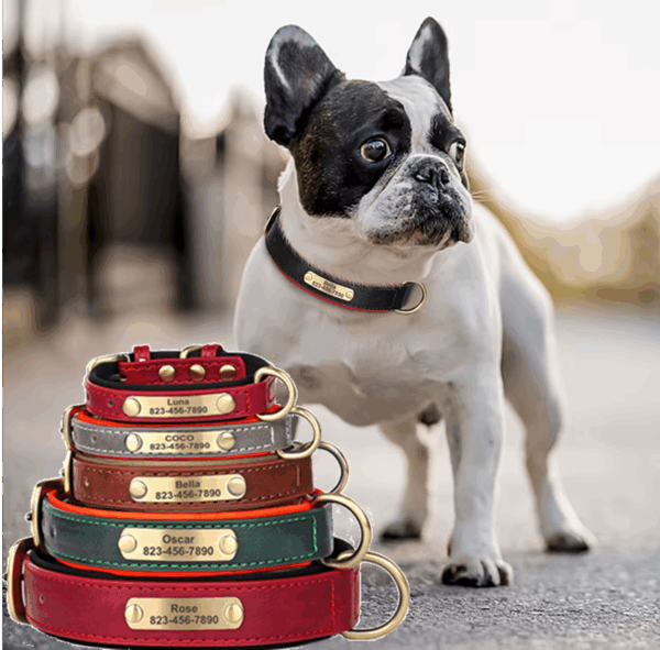 Personalized PU Leather Dog Collar