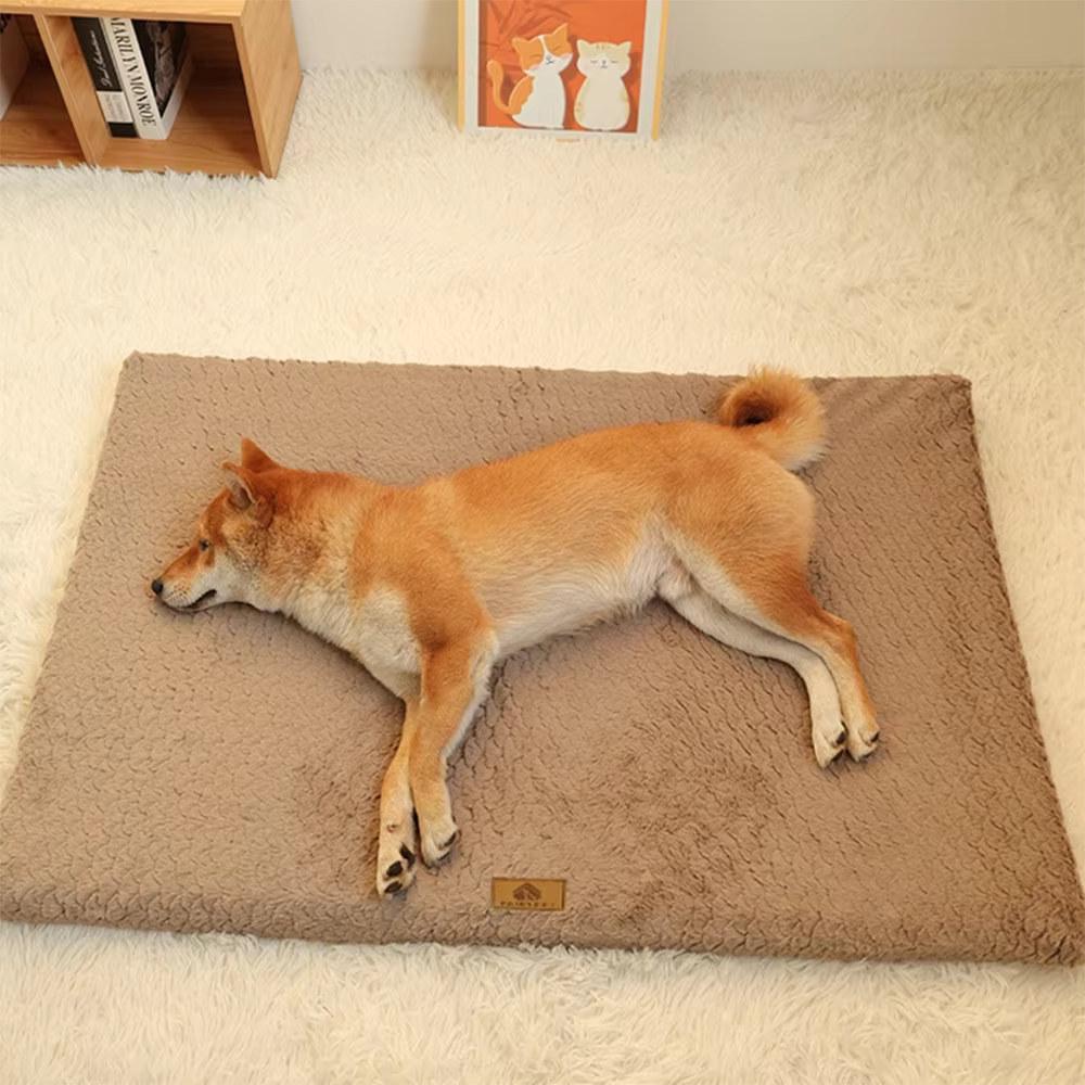 Orthopedic Bed for Your Lovely Pet - Image 5