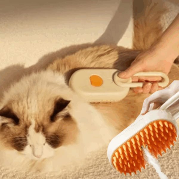 Skin Friendly Steam-Brush