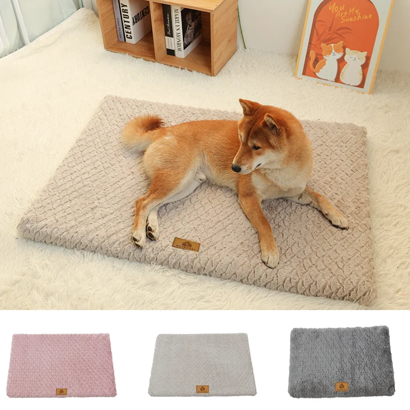 Orthopedic Bed for Your Lovely Pet
