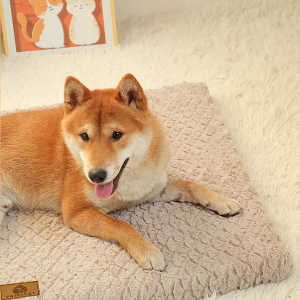 Orthopedic Bed for Your Lovely Pet - Image 2